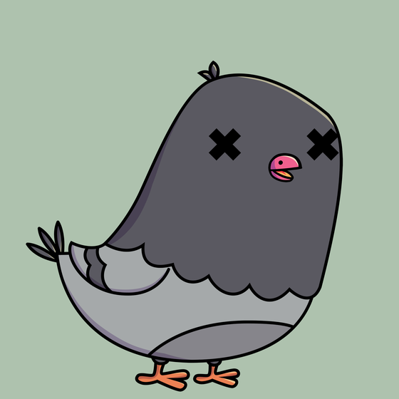 Pigeon #7968