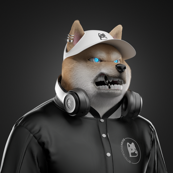 Shiba #3853