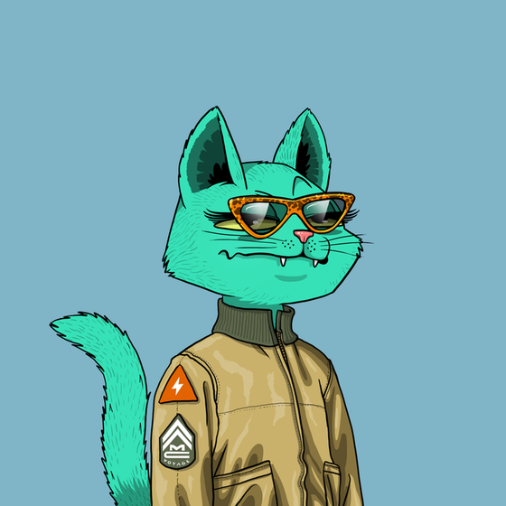 Mars Cat #2919