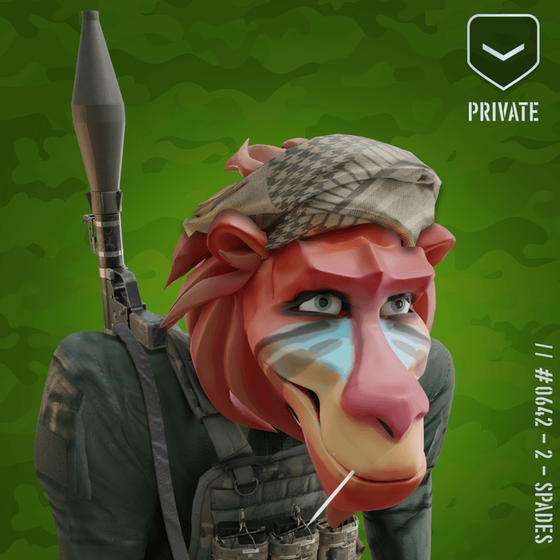 Happy Red Private Baboon #642