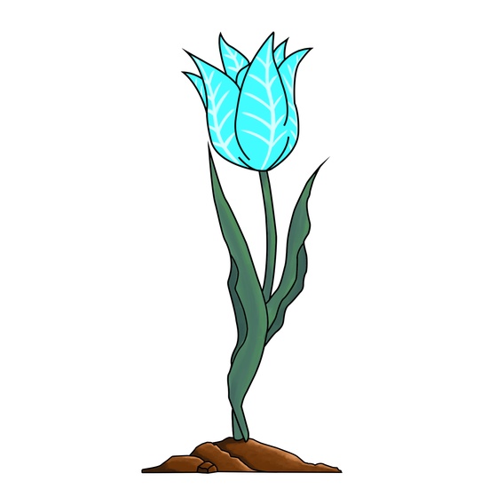 EtherTulip #88