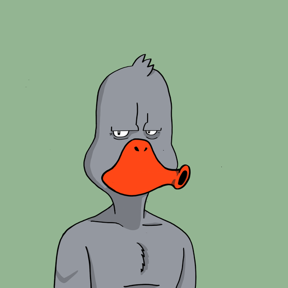 Duck #8889