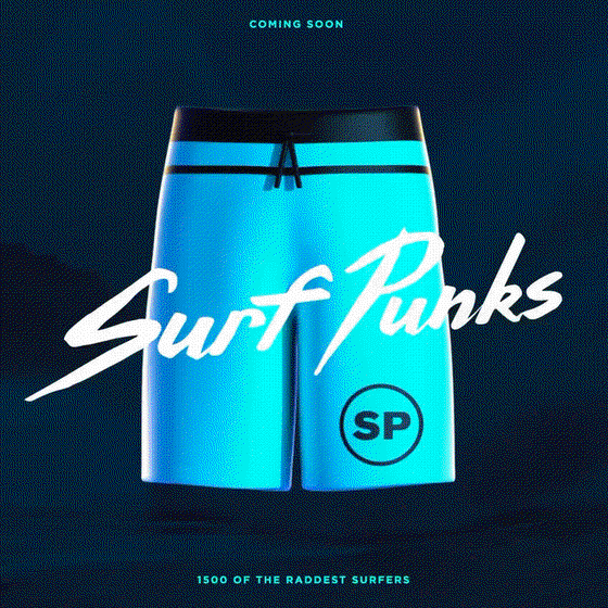 Surf Punk #529