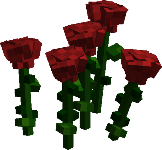 Red roses