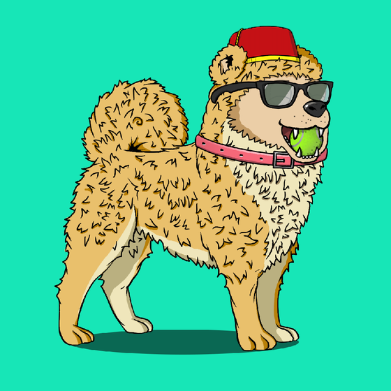 y00ts Canine Club #2936