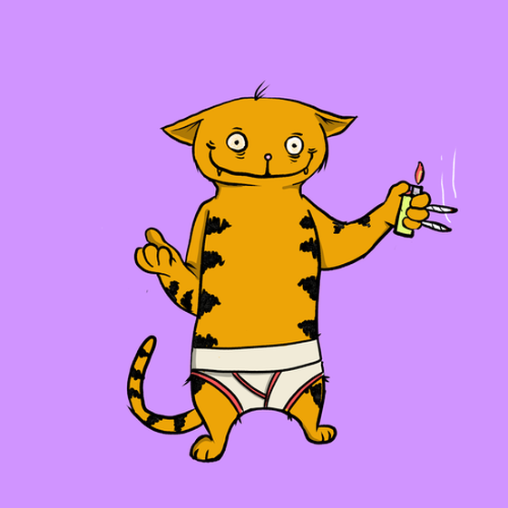 Blazed Cat #8436