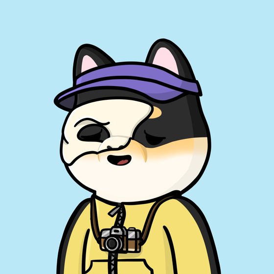 Shibe #2322