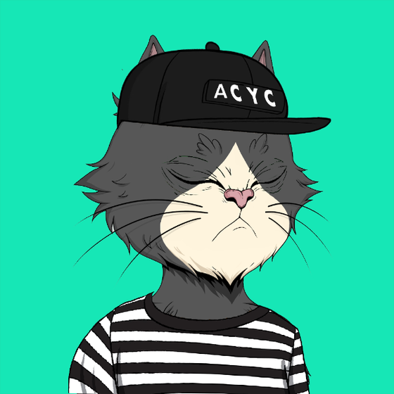 Angry Cat YC #2356