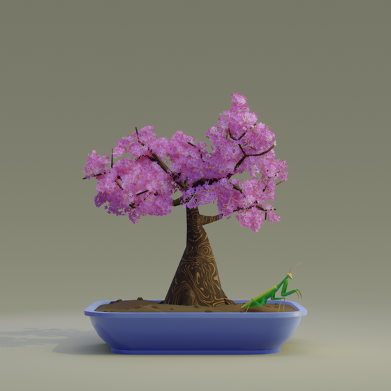 Bonsai #5585