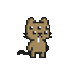 The Feline Experiment #2472