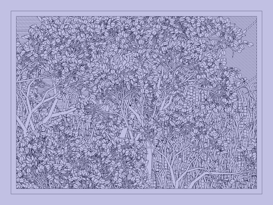 Entangled #13