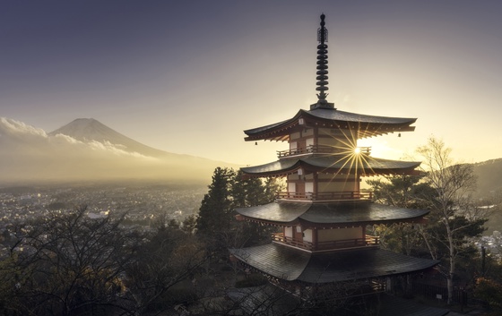 PAGODA OF LIGHT (Iurie Belegurschi) #19/33