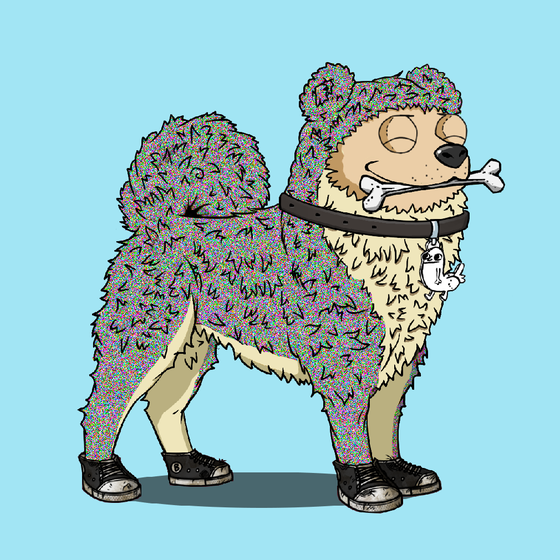 y00ts Canine Club #1979