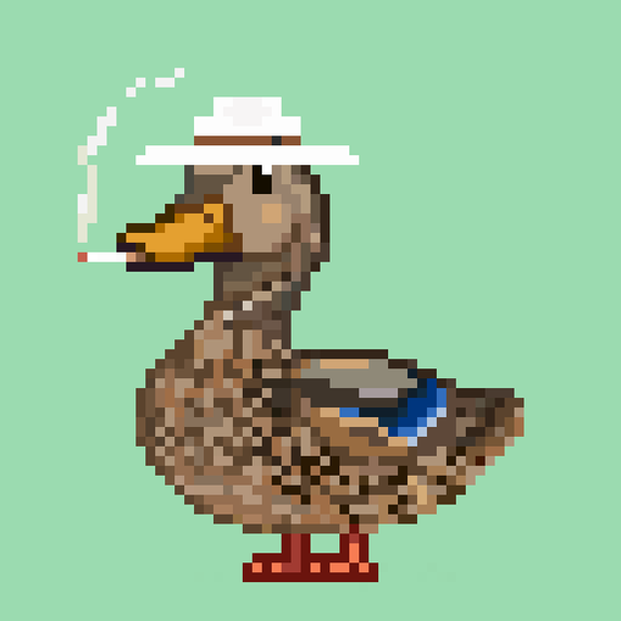 Mallard #9870