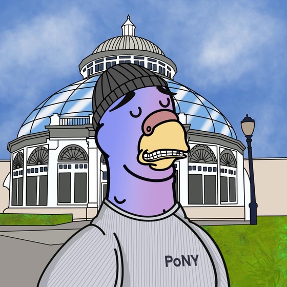 Pigeon #470