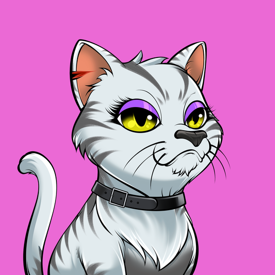 Cat #2066