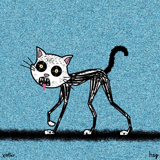 cat #531