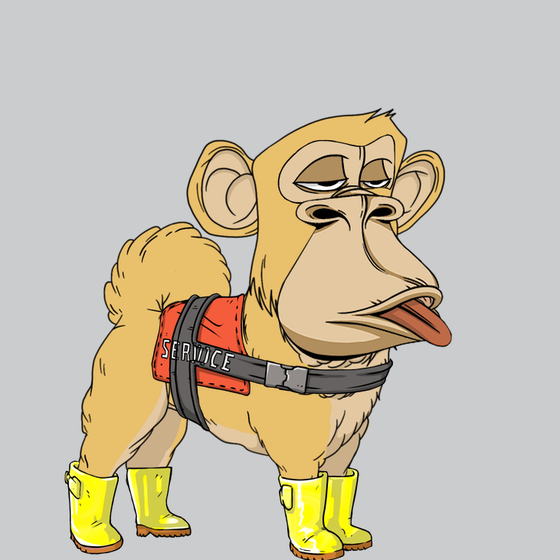 Kennel Ape #1992