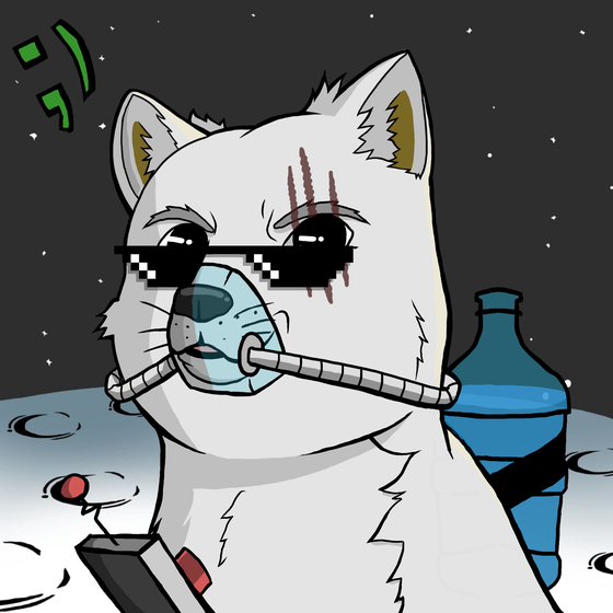 DogeX#6534