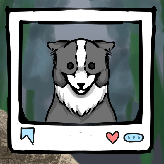 旅する犬 #942