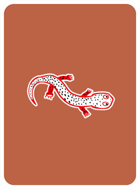 Sentimental Salamander