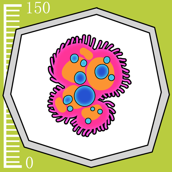 818