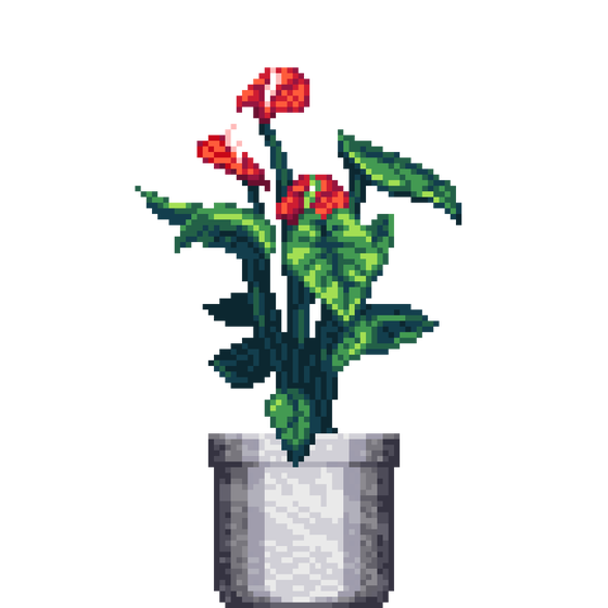 Red Anthurium in Large Marble pot