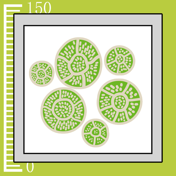 280