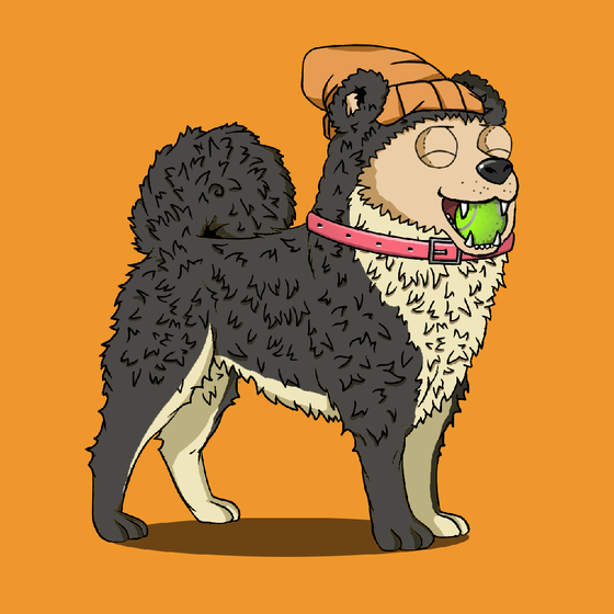 y00ts Canine Club #2081