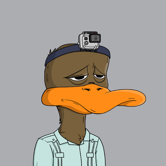 Rebellious Duck #117