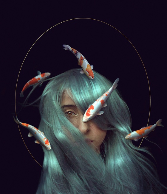 Koi