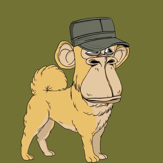 Kennel Ape #9576
