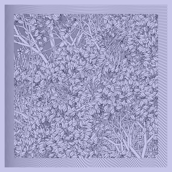 Entangled #402