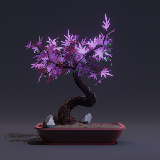 Bonsai #7579