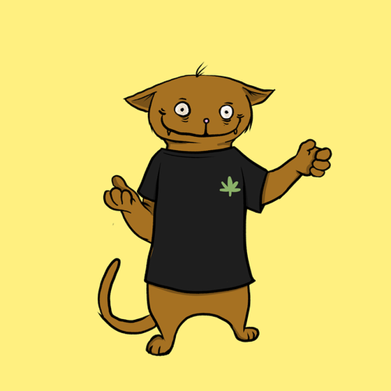 Blazed Cat #4576