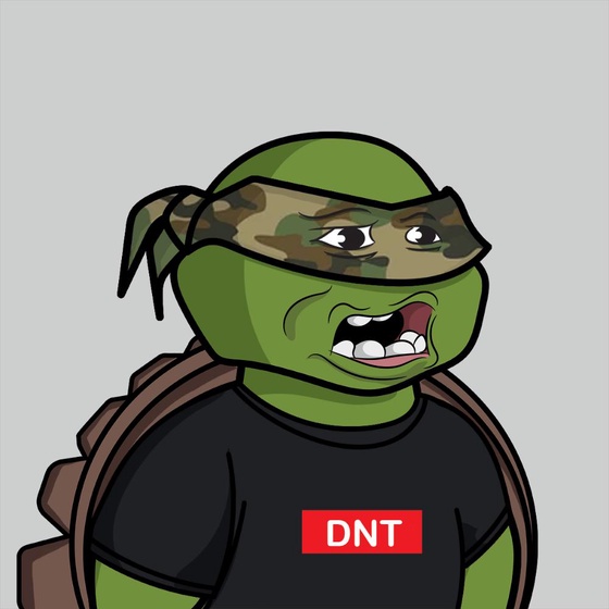 Degen Ninja Turtle #5320