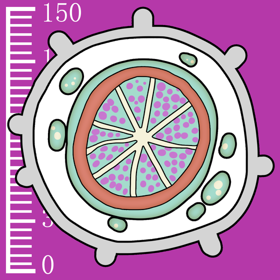 285