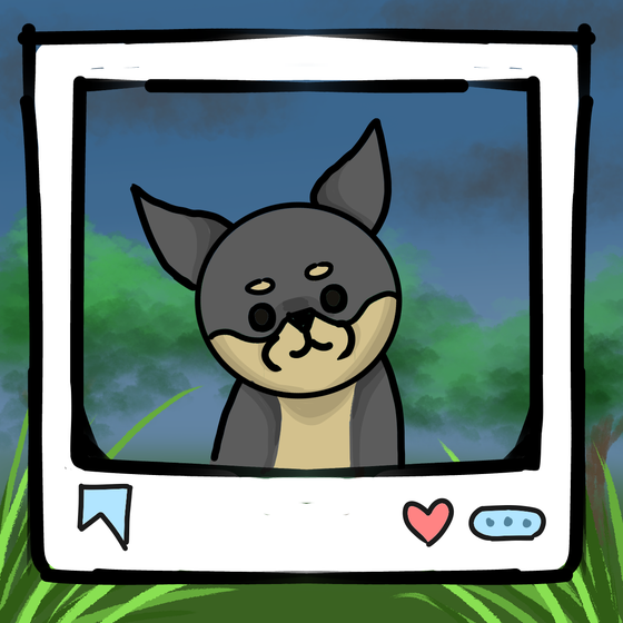 旅する犬 #382