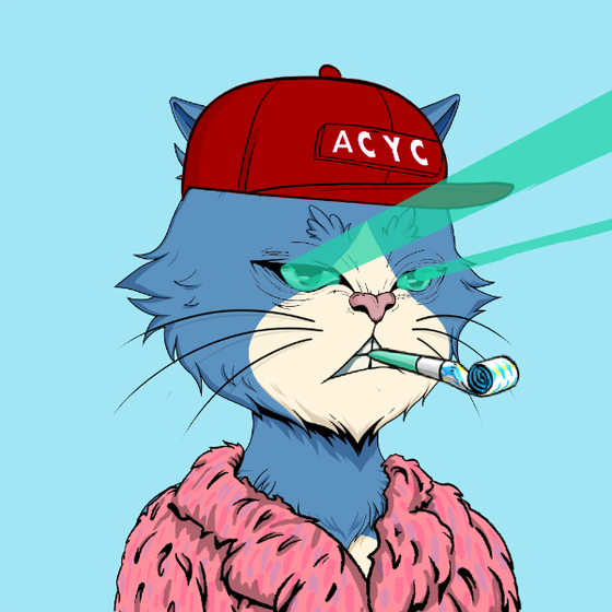 Angry Cat YC #1024