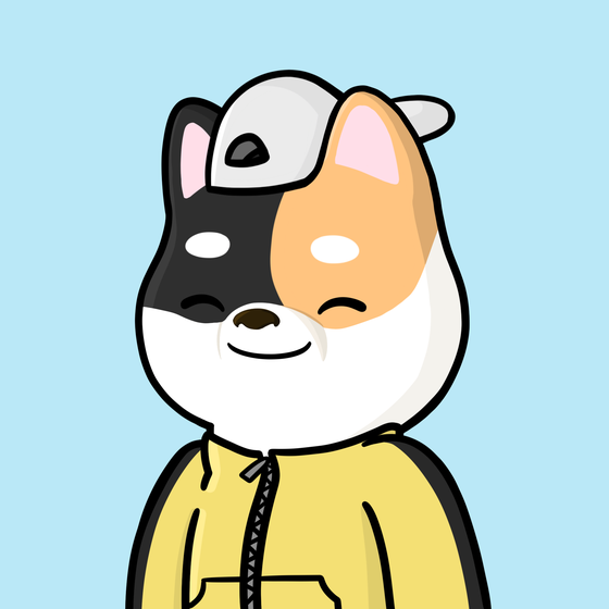 Shibe #3109
