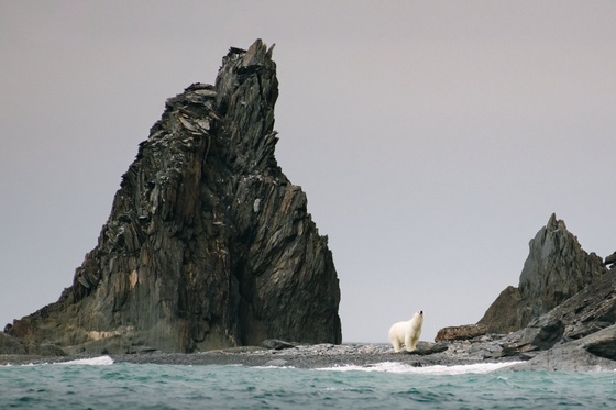 Rumors of Arctic Belonging - Waiting for Sea Ice, Herald Island