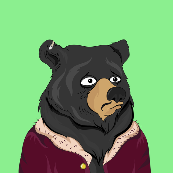 Fancy Bear #7233