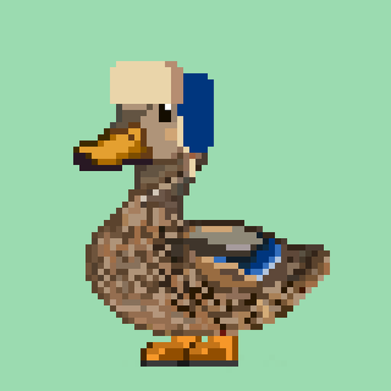 Mallard #894