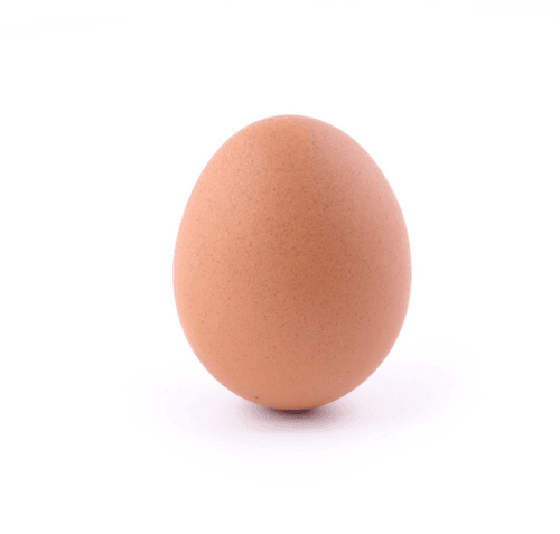 Egg #39