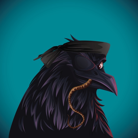 #1785 Crow