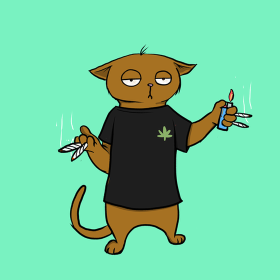 Blazed Cat #2593