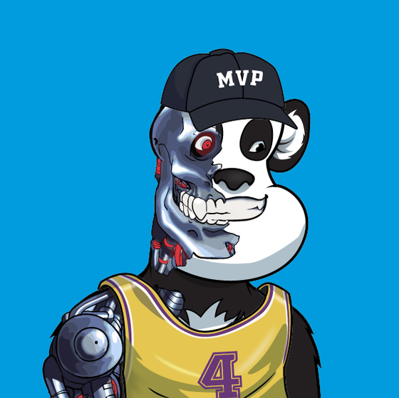 B-ball Pandas #5