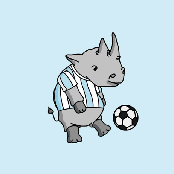#28 Football African Black Rhino