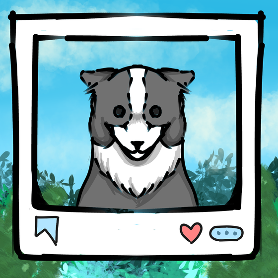 旅する犬 #43