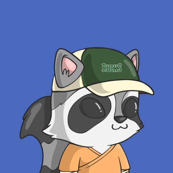 LookAtMyRaccoon #7312